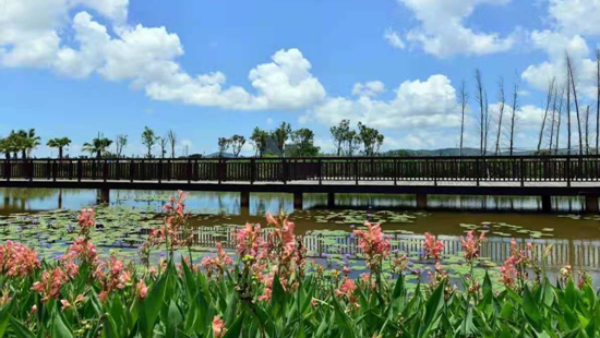 1626054176558020465.png 微信圖片_20210712094137.png