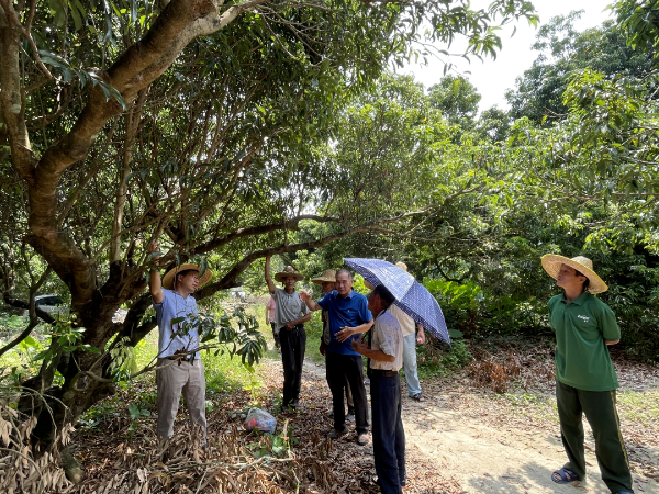 澳門特區政府召開促進橫琴建設領導小組首次工作會議