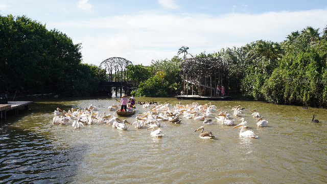 轉(zhuǎn)存圖片