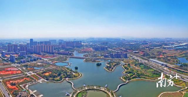 圖為佛山市南海區(qū)獅山鎮(zhèn)博愛(ài)湖。南方日?qǐng)?bào)記者 戴嘉信 攝