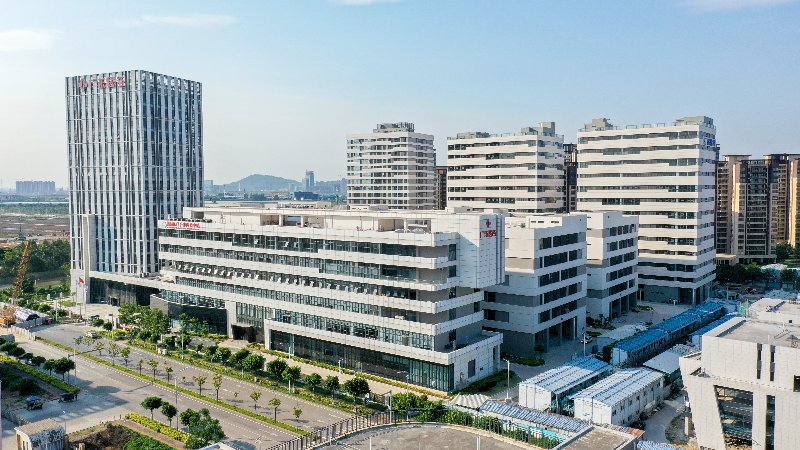 全面恢復通關后香港考察“天團”為何來這里？廣州南沙給出了答案