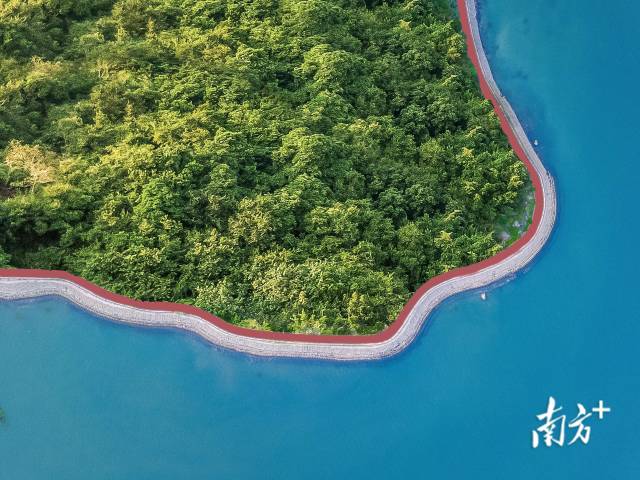 小桂綠道。大亞灣開發區供圖