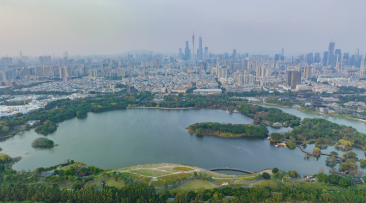 不可缺“濕”的生態(tài)之美！一起暢游大灣區(qū)濕地公園