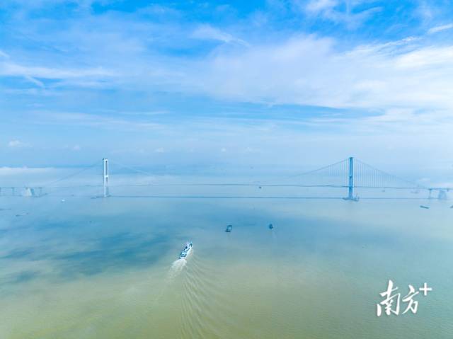 包攬多項(xiàng)世界之最的深中大橋。