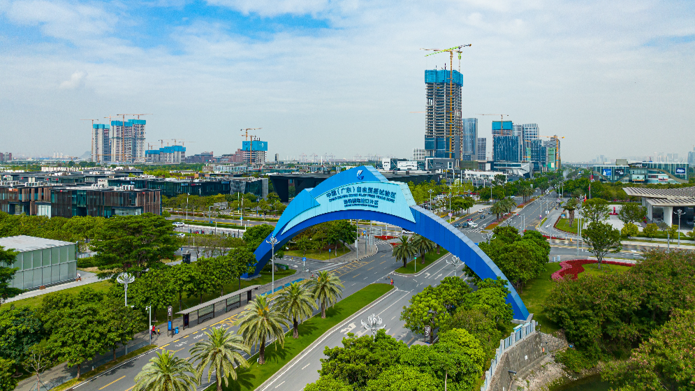 省商務廳黨組書記、廳長，省自貿辦主任張勁松：完善高水平對外開放體制機制 打好“五外聯動”組合拳