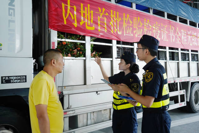 出口澳門植物實現檢驗檢疫證書無紙化通關