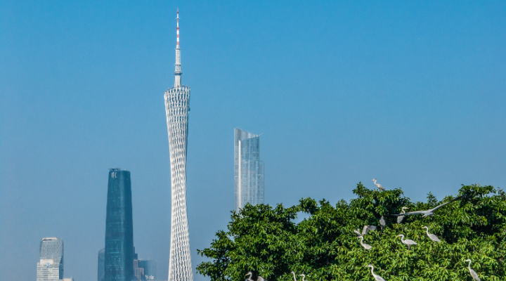 省文化和旅游廳黨組書記、廳長(zhǎng)李斌：加快建設(shè)更高水平更高質(zhì)量更有影響力的旅游強(qiáng)省