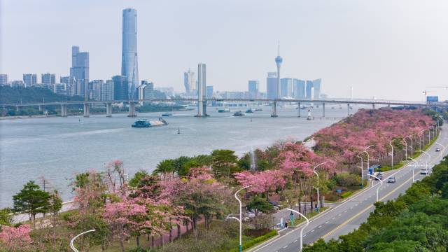 橫琴粵澳深度合作區執委會副主任蘇崑：當合作區的“全球推薦官”