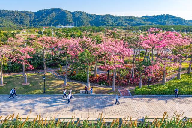 打造便利澳門居民生活就業的新家園。 打造便利澳門居民生活就業的新家園。
