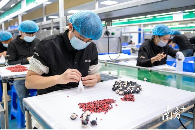 東莞企業(yè)沃工場正馬不停蹄地制作《哪吒2》衍生品。