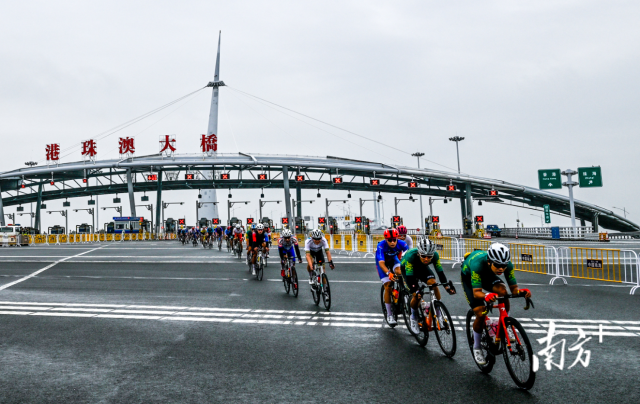 2024粵港澳公路自行車賽，選手們途經(jīng)港珠澳大橋。南方+記者 錢文攀 攝