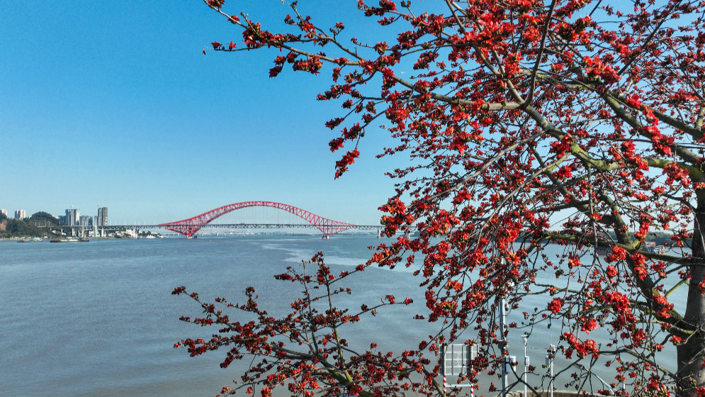 省商務廳黨組書記、廳長，省自貿辦主任張勁松：助力南沙成為國家自貿試驗區戰略重要支點