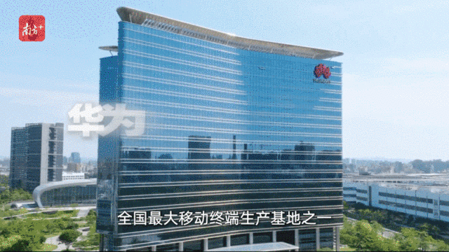    “創新全運會”鳴哨，11城接力新質火炬