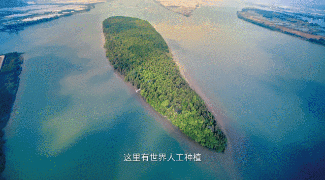 這是我的城！珠海最新城市形象片發布！
