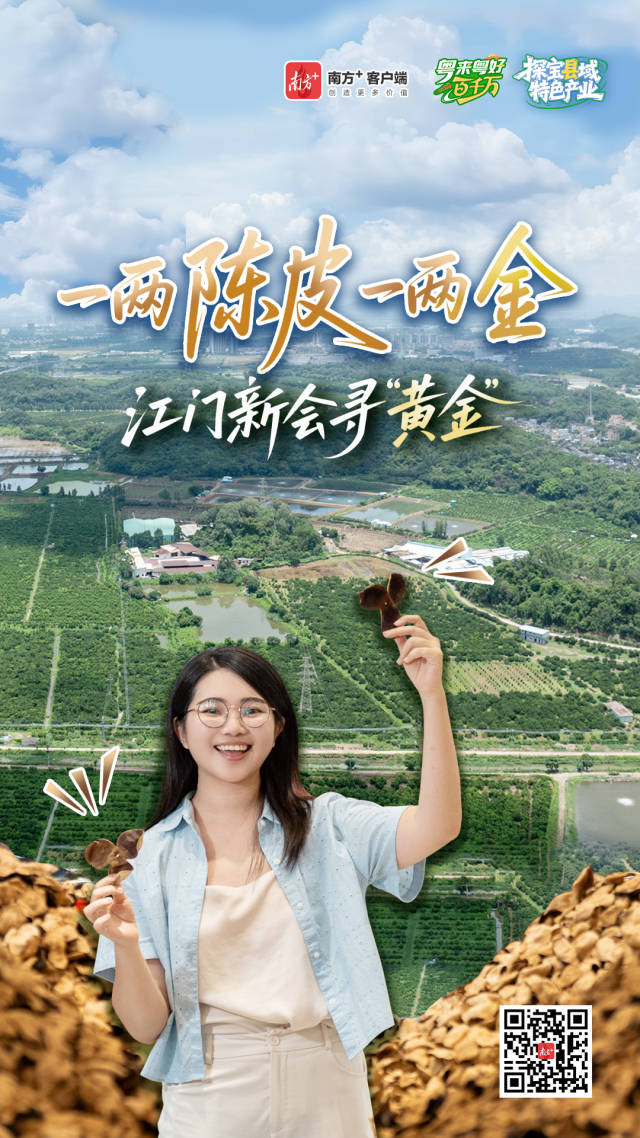 產(chǎn)值近280億元，江門新會陳皮為何貴如“黃金”？