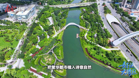 比拼“綠實力”,11城“美麗全運會”啟幕! 比拼“綠實力”,11城“美麗全運會”啟幕!