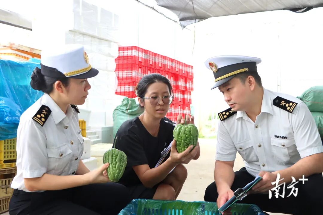今年以來廣東外商投資企業發展態勢良好,進出口增速較整體快2個百分點。 今年以來廣東外商投資企業發展態勢良好,進出口增速較整體快2個百分點。