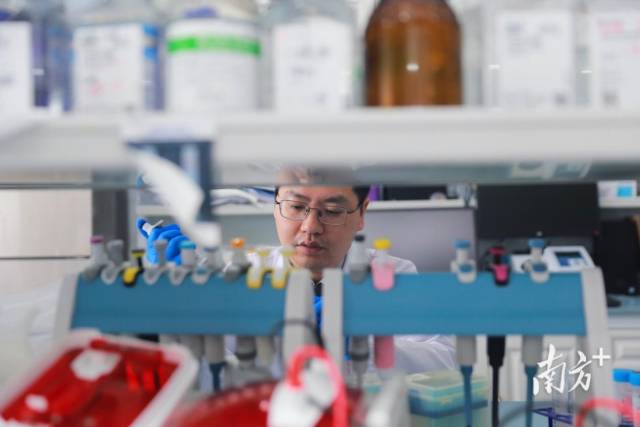 聚焦“以企引才、以才引才、平臺引才”，通過真金白銀獎勵激發(fā)社會力量參與熱情。