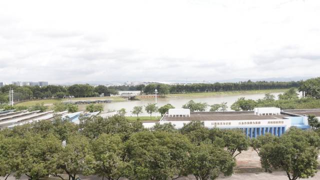 在廣州白云區(qū)的廣東國(guó)際劃船中心，皮劃艇運(yùn)動(dòng)員們正揮槳訓(xùn)練，船槳激起陣陣水花。