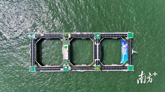 “格盛 1 號”養殖平臺。南方+記者 關銘榮 攝