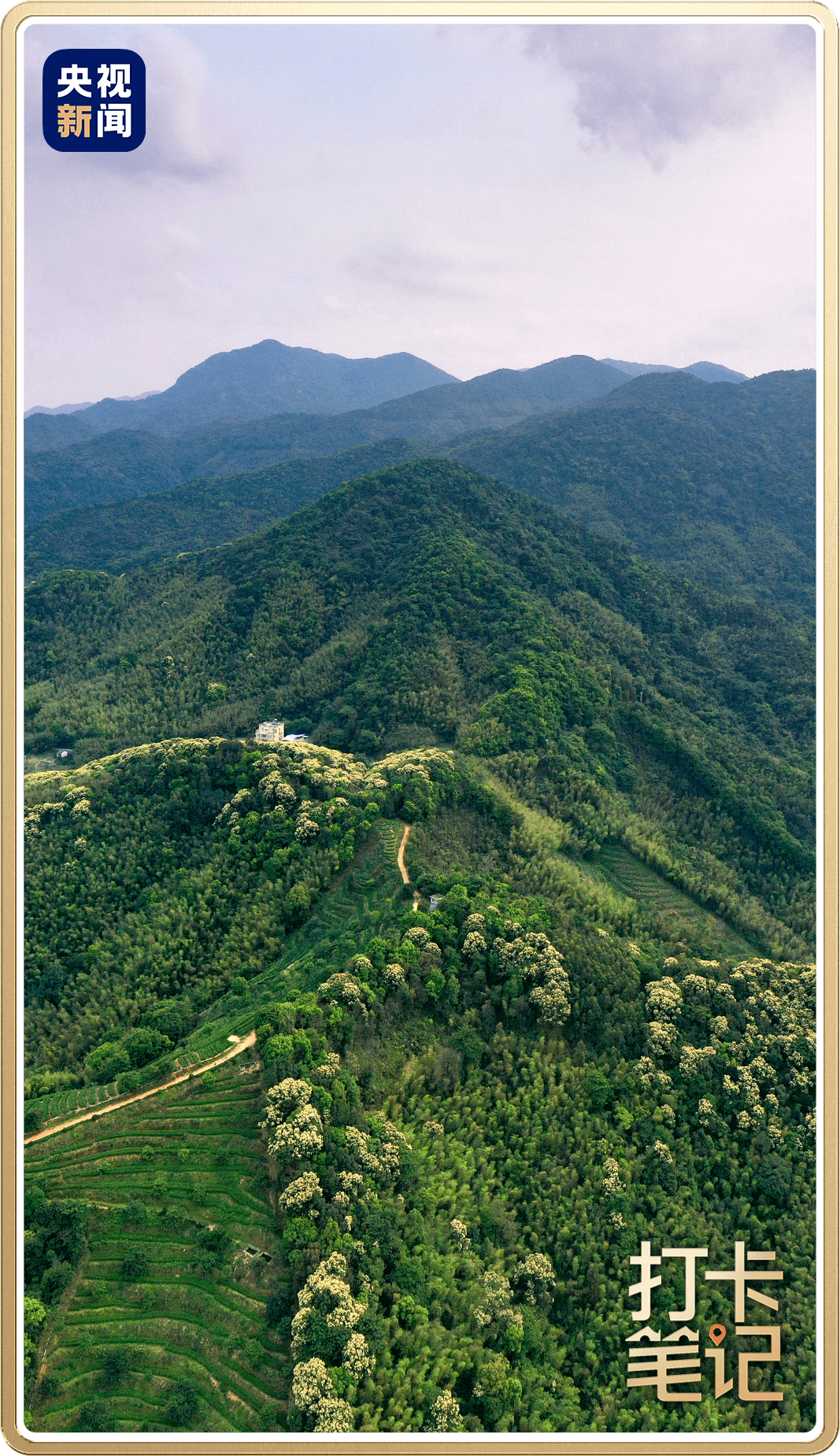 象頭山