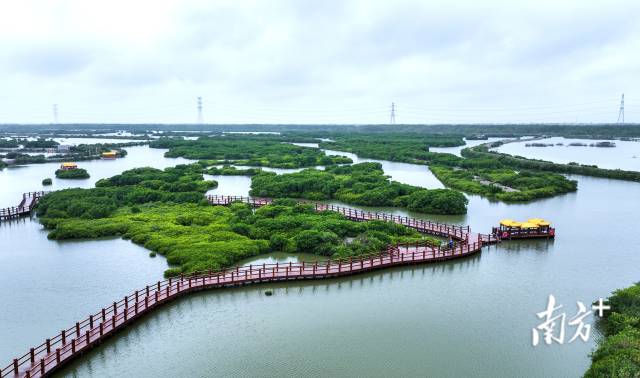 湛江市麻章區(qū)金牛島綠美點。