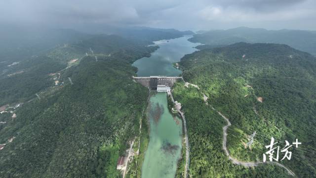 近年來，河源的生態(tài)優(yōu)勢持續(xù)鞏固優(yōu)化，生態(tài)屏障的功能日益彰顯。南方+ 張由瓊 攝