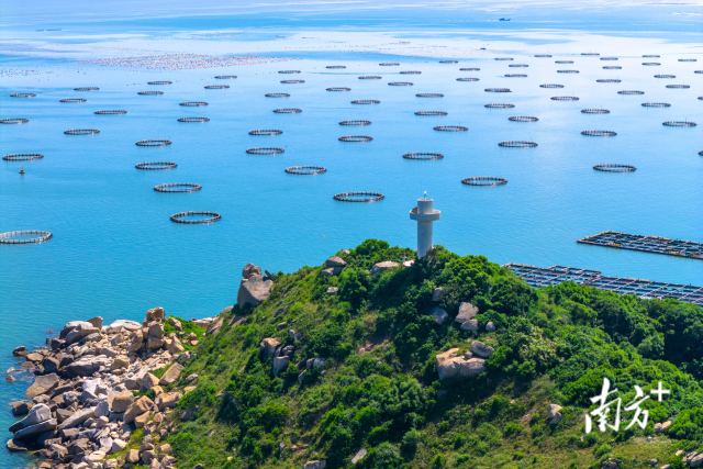 當(dāng)前，廣東海洋牧場建設(shè)正從“近海淺海”向“深遠(yuǎn)海”邁進(jìn)。