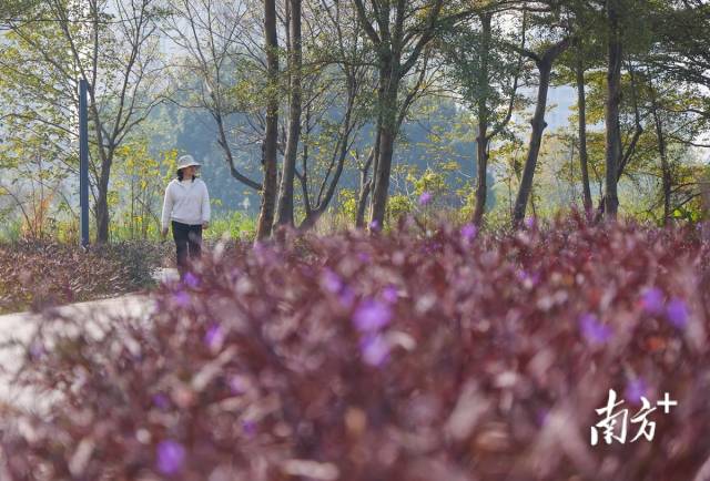 公園設(shè)計突出“生態(tài)”主題，保留了較多天然風(fēng)貌。 南方+ 葉志文 攝