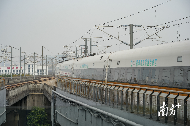 橫琴粵澳深度合作區與中國—葡語(西語)國家經濟貿易服務中心共同冠名的高鐵列車 橫琴粵澳深度合作區與中國—葡語(西語)國家經濟貿易服務中心共同冠名的高鐵列車