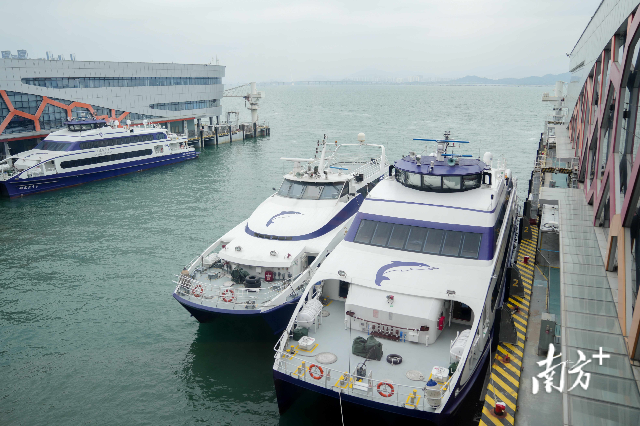 蛇口港