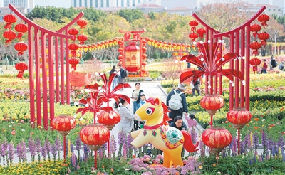 為迎接農歷新年到來，澳門市政署近日在氹仔龍環葡韻舉行慶新春主題花展，花展以馬年裝飾為主題，讓市民及游客感受濃厚的新春節日氣氛。圖為市民在新春主題花展上參觀。張金加攝（新華社發）